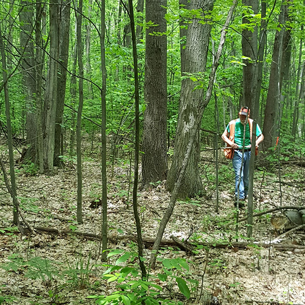 Bill Botti standing in forest